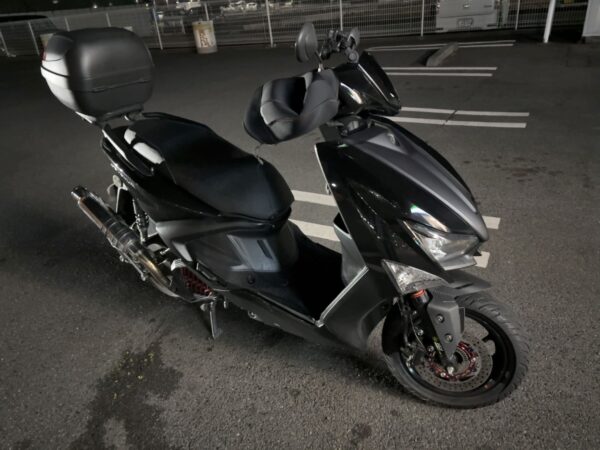 シグナスグリファス画像