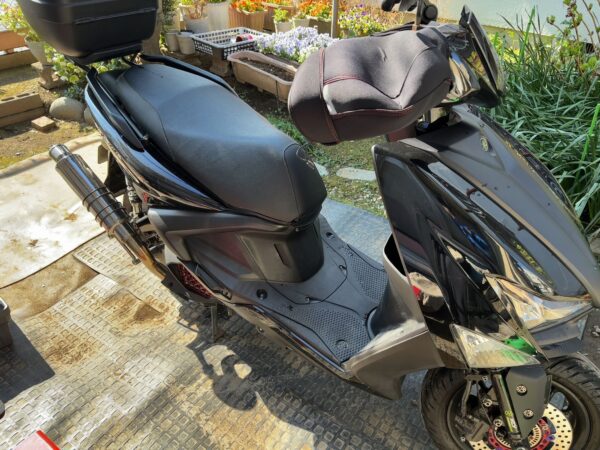 シグナスグリファス画像