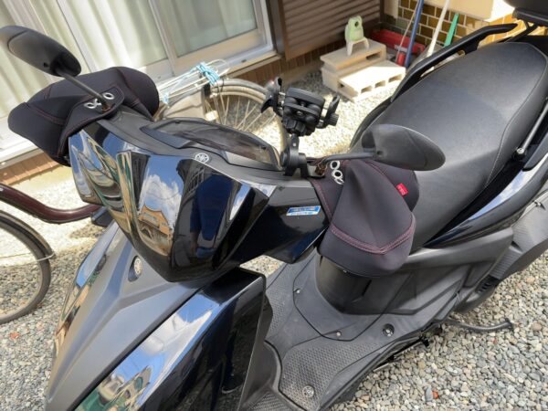 シグナスグリファス画像