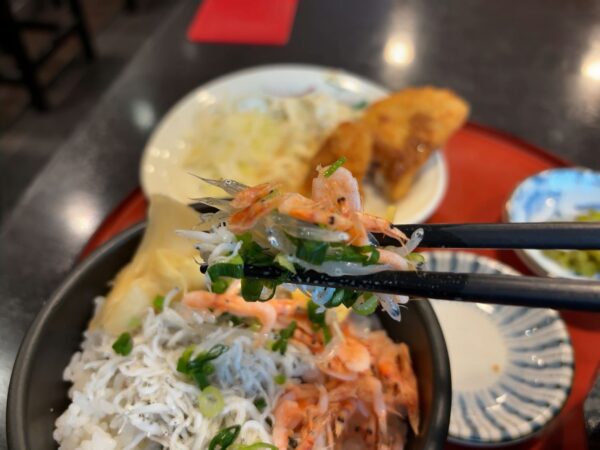 さすよ亭の3色丼画像